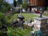 Vorgarten Hotel Alpenblick